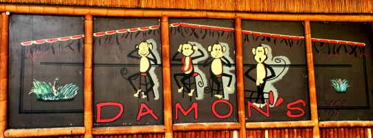 DTH Damons monkeys 02